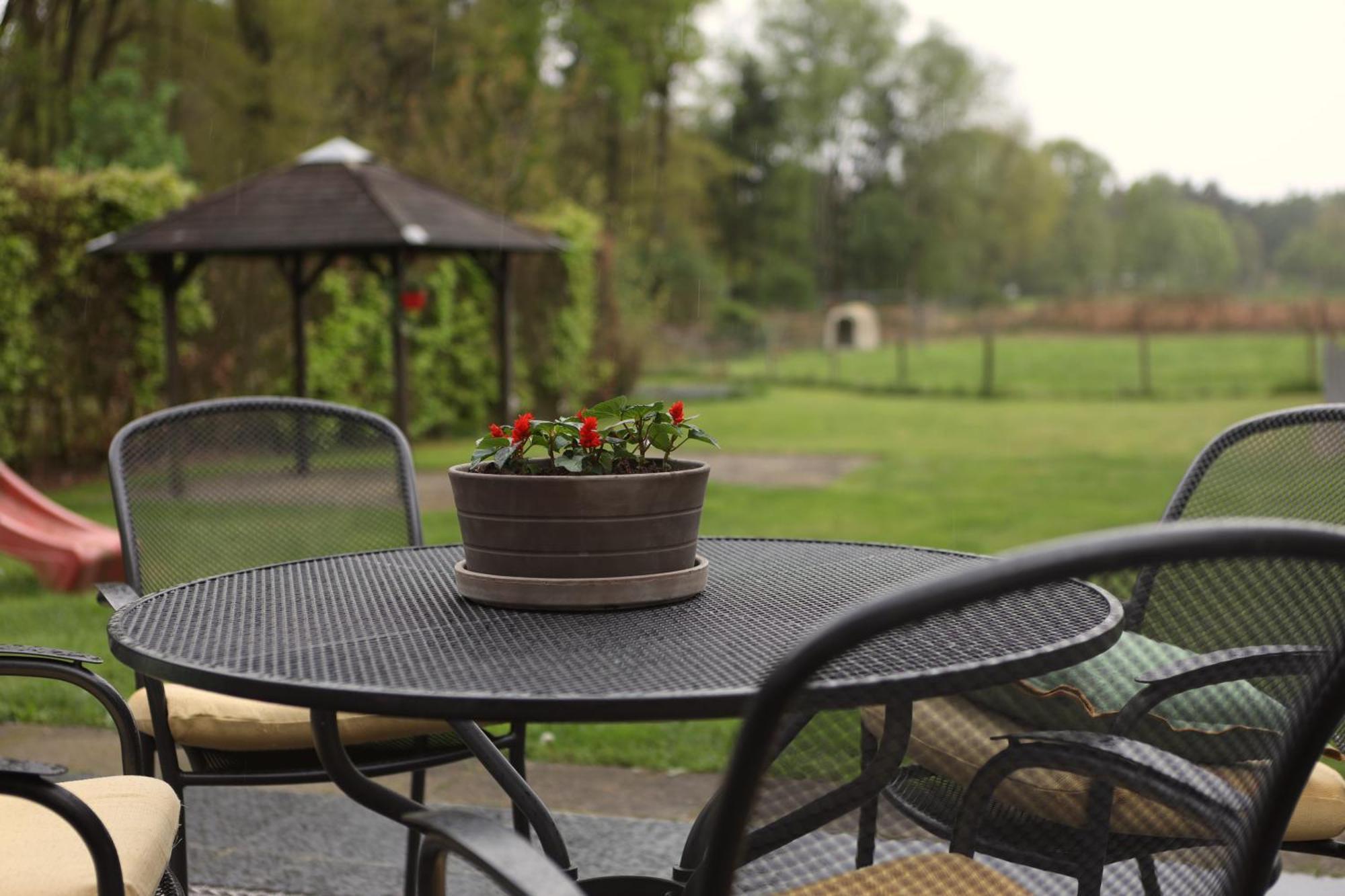 Guesthouse Oeyenbos Knegsel 外观 照片